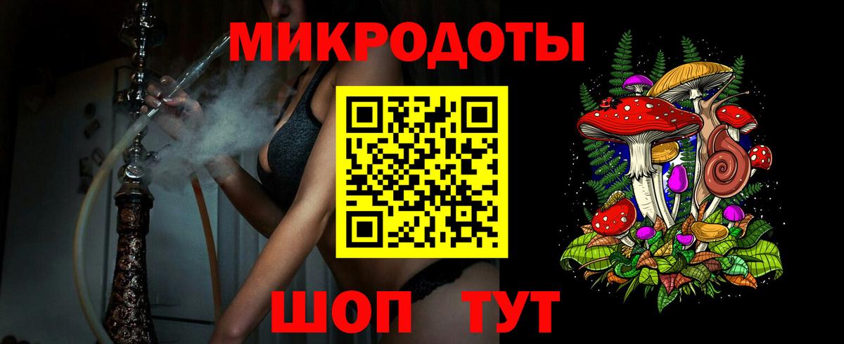 Псилоцибиновые грибы Psilocybe Сергиев Посад